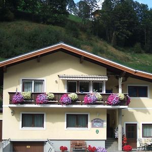 Mimo Appartements